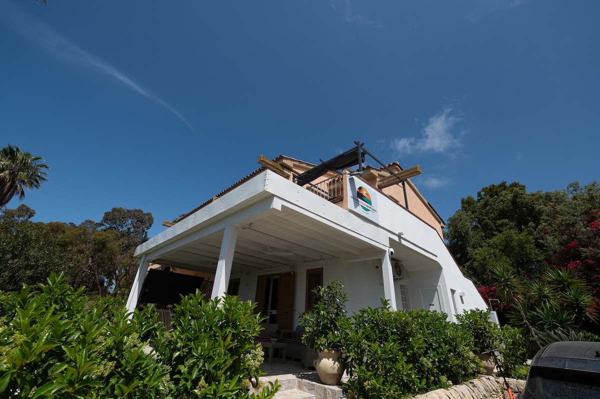 A multi-story house with a white exterior is surrounded by lush greenery and palm trees. The blue sky is visible above, enhancing the vibrant scene. A spacious patio area is present at the front, providing a welcoming entrance to the property.