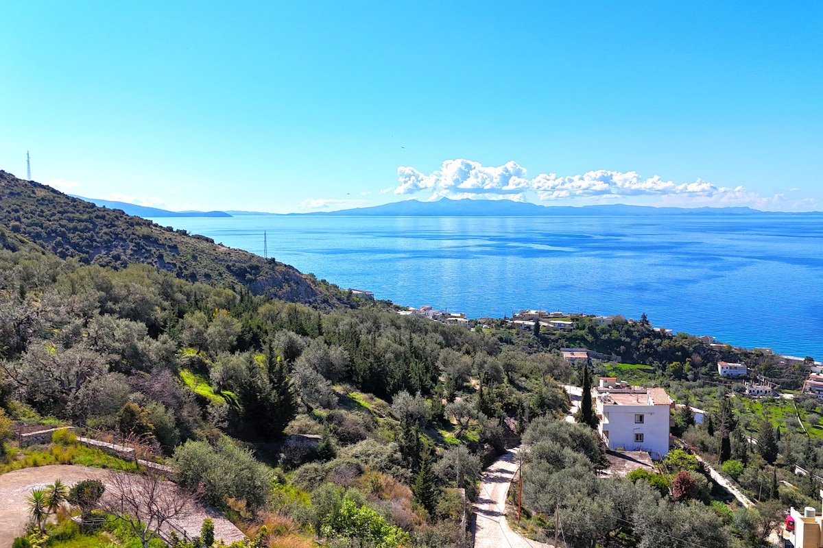 A scenic view of the Ionian Sea is captured, showcasing its blue waters under a clear sky. The coastline is dotted with a mix of greenery and residential buildings, while distant mountains silhouette against the horizon.