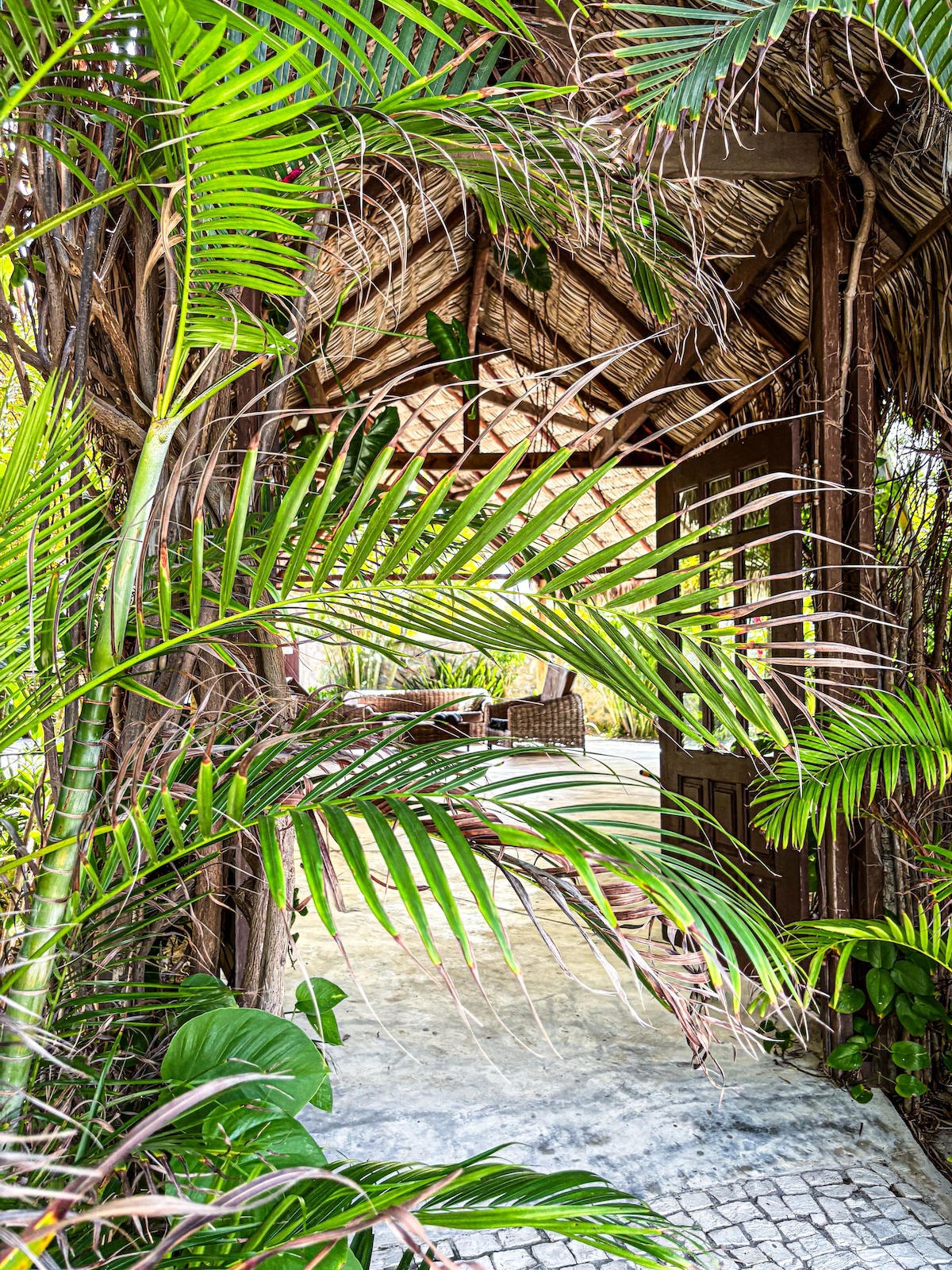 A natural entrance is framed by lush green palm fronds, leading to a cozy outdoor seating area. The space features a thatched roof and is surrounded by vibrant tropical foliage, creating an inviting and serene atmosphere.