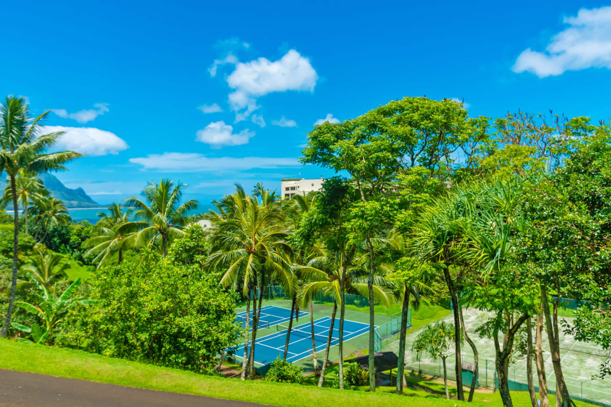 (7305) Ocean View Studio Hanalei Bay Resort, Pool - Image 23