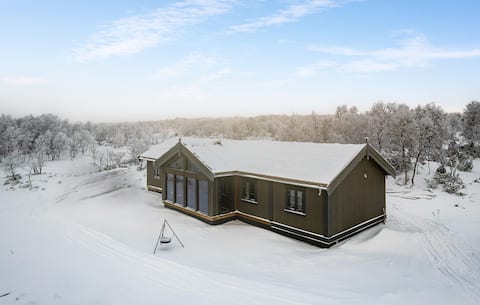 3 bedroom nice home in Tänndalen