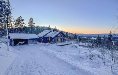 3 bedroom cozy home in Rendalen
