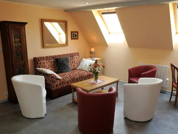 Gîte Elouann Familial Spacieux Calme - Dambach-la-Ville