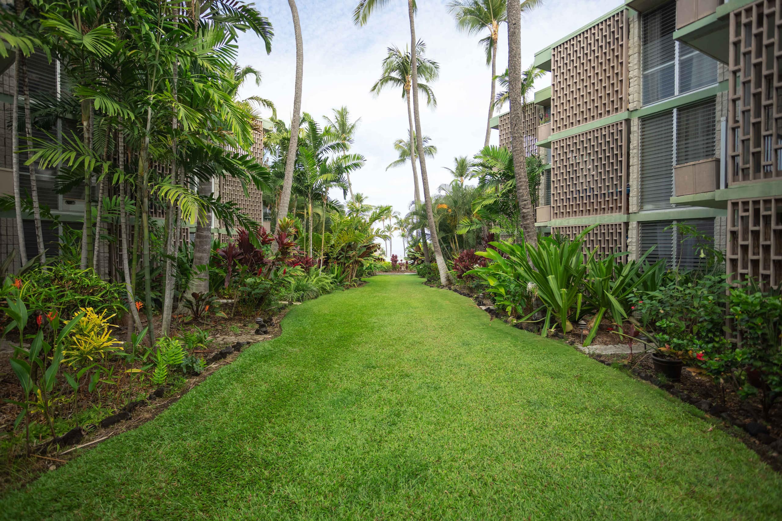 Condo in Kailua-Kona · ★4.74 · 1 bedroom · 2 beds · 1 bath - Image 17