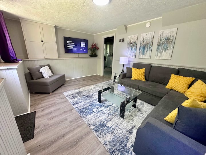 BASEMENT LIVING ROOM W/ PULLLOUT COUCH