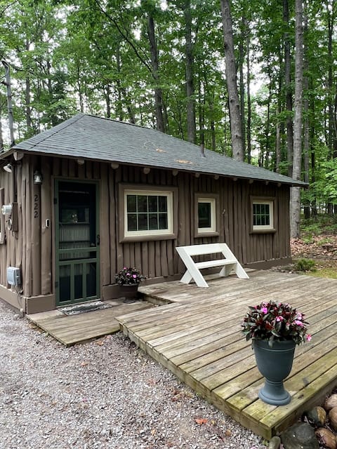 The Higgins Lake Hideaway - Super Cute!
