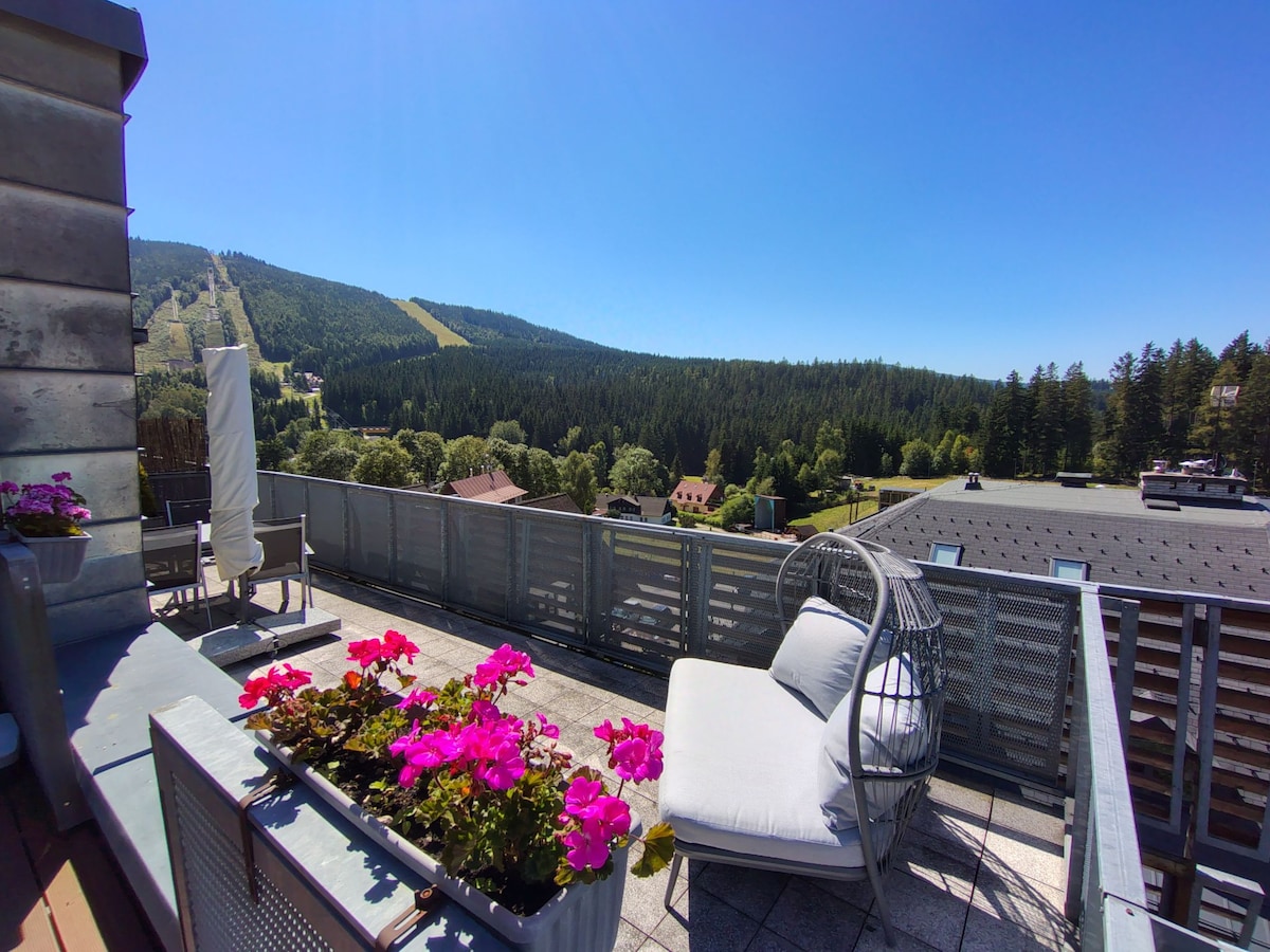 A spacious terrace features comfortable seating and vibrant pink flowers in pots. Scenic views of the surrounding countryside and ski slopes are visible in the background, under a clear blue sky. The outdoor space is designed for relaxation and enjoyment.