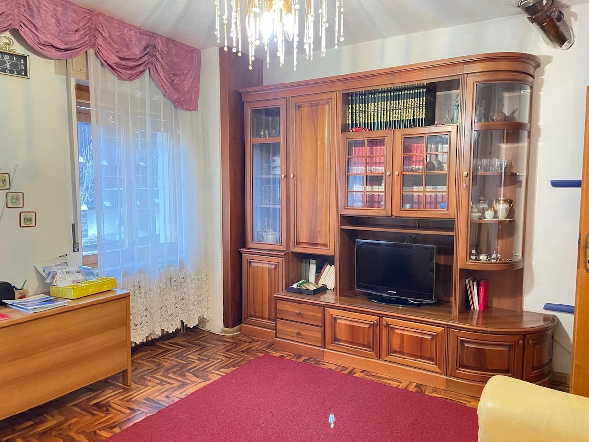 Top performing Airbnb: "Casa Soia" Apartment in Falcade