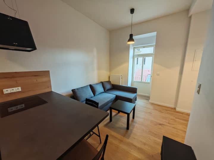 Modern 1br In Trendy ŽIžkov - Prague