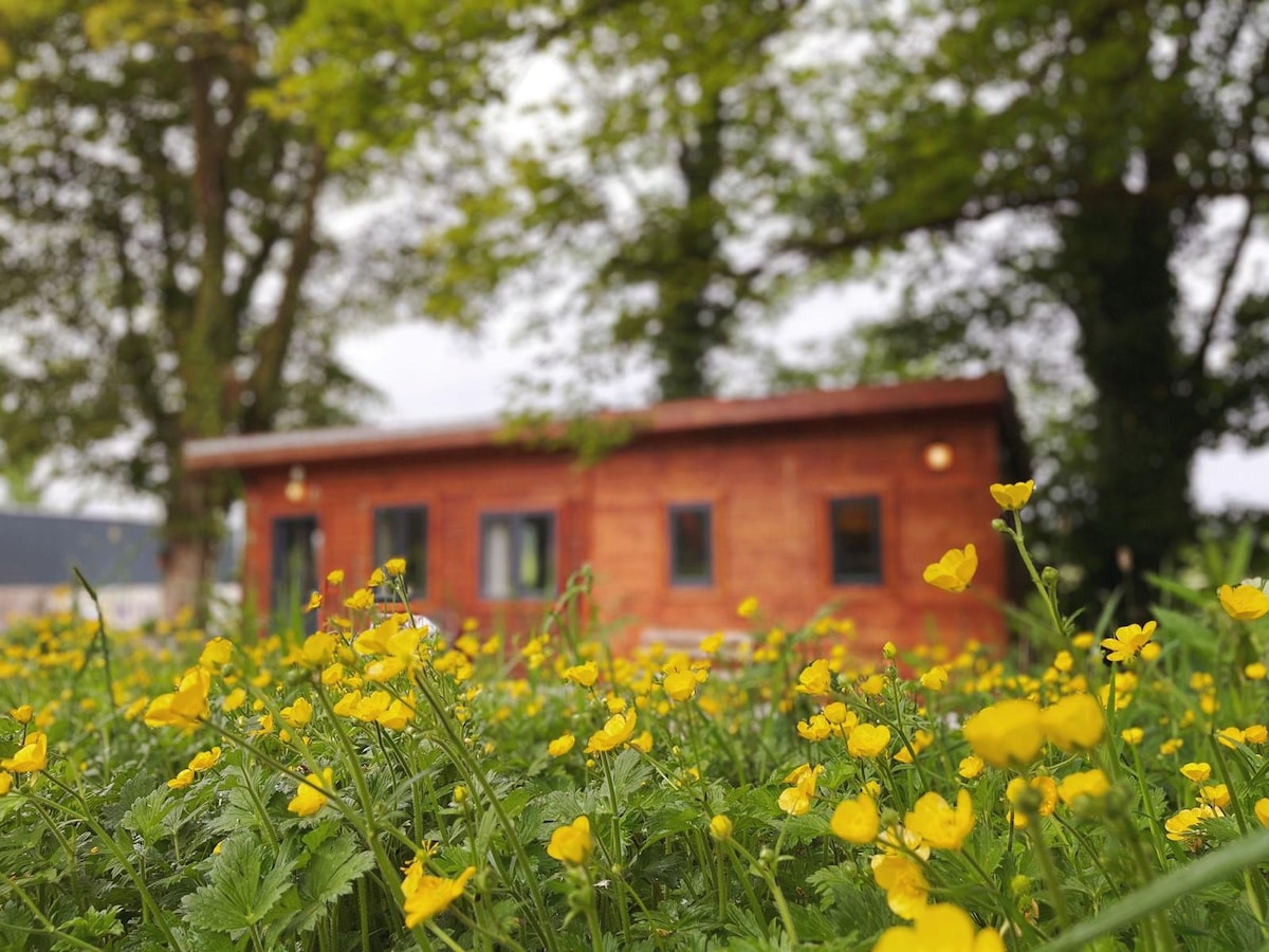 A wooden chalet is nestled among tall green trees, surrounded by a vibrant field of yellow flowers. The facade of the chalet features large windows, allowing natural light to brighten the interior, while the foliage creates a serene backdrop.