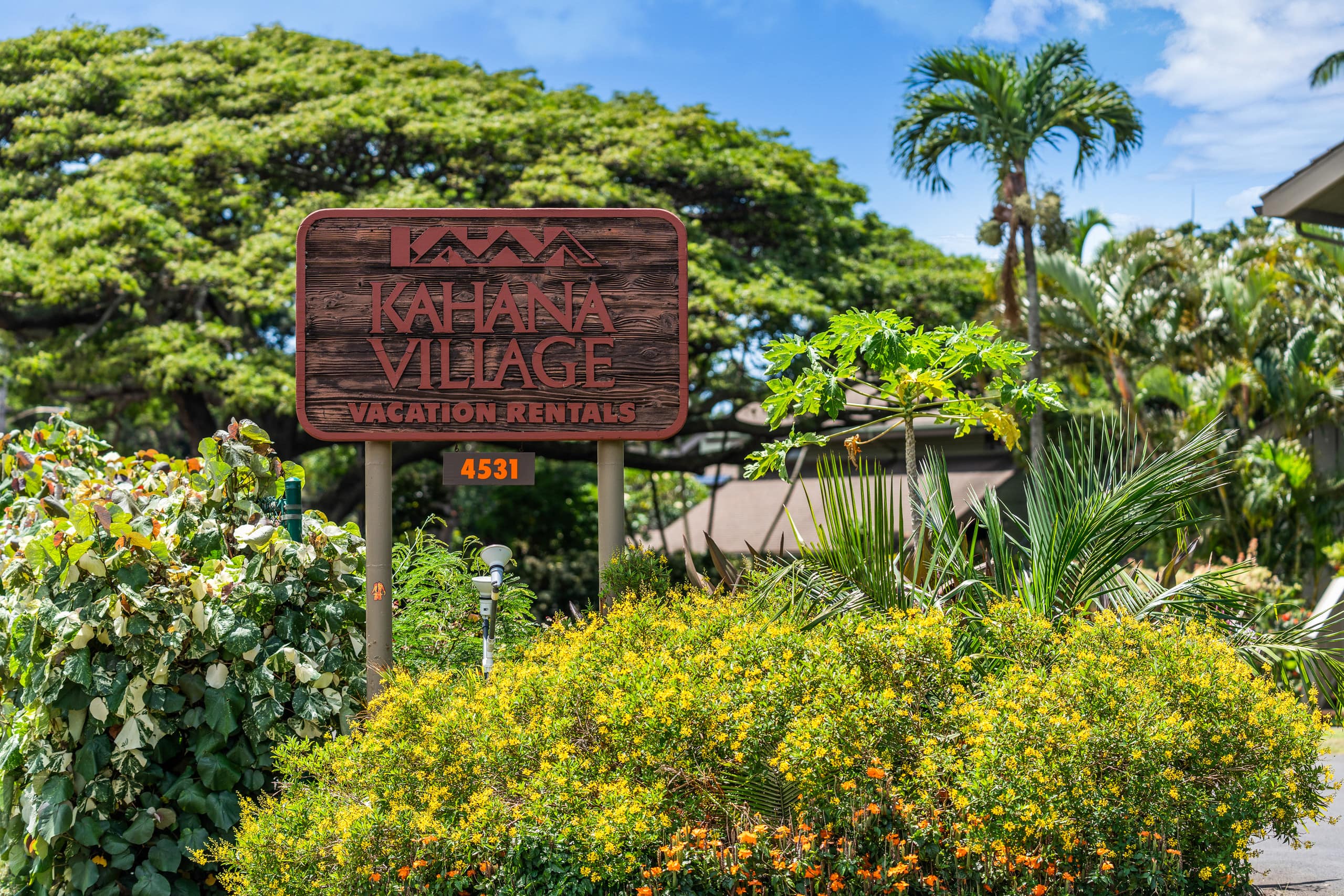 Condo in Lahaina · ★4.94 · 2 bedrooms · 4 beds · 2 baths - Image 41