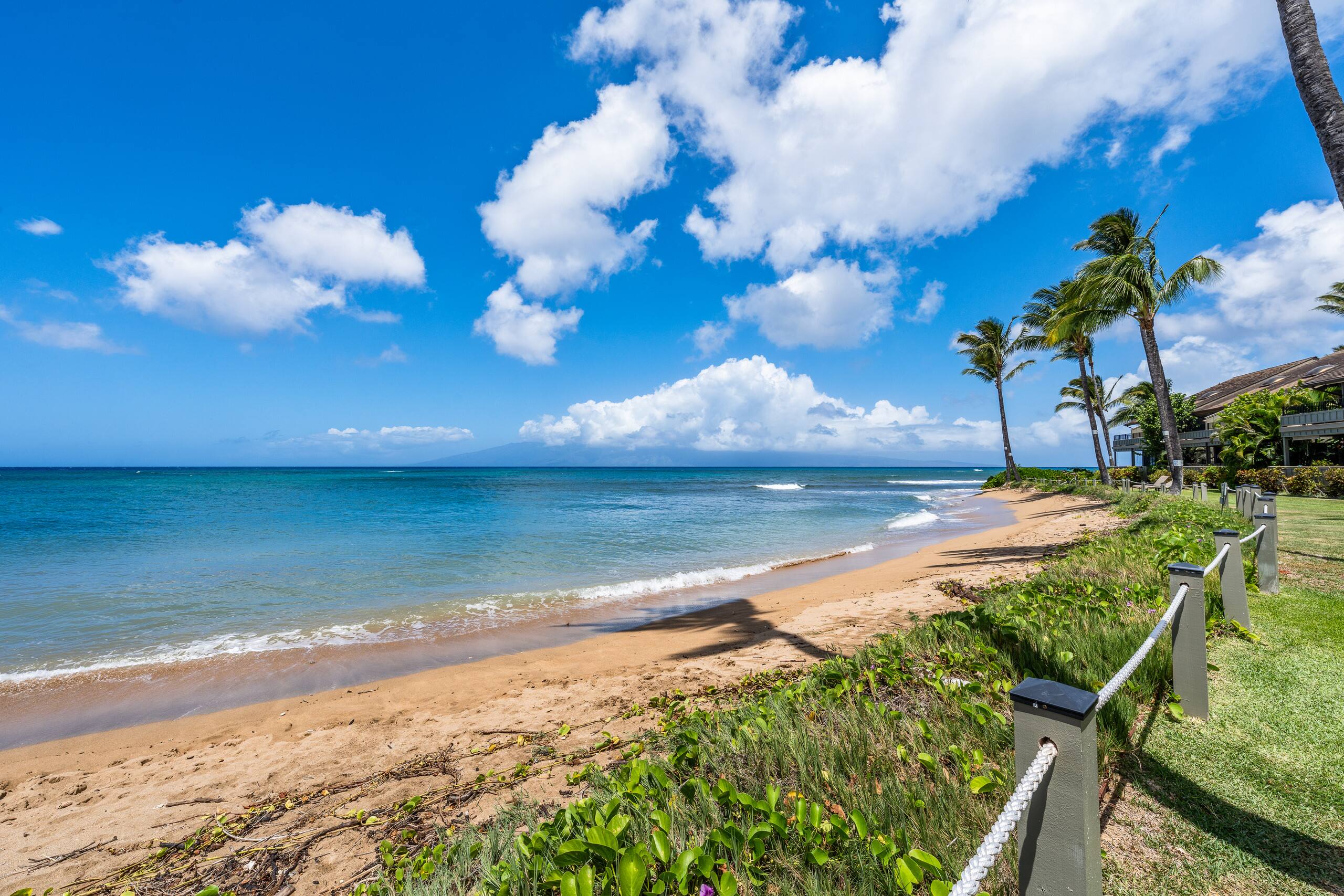 Condo in Lahaina · ★4.94 · 2 bedrooms · 4 beds · 2 baths - Image 47