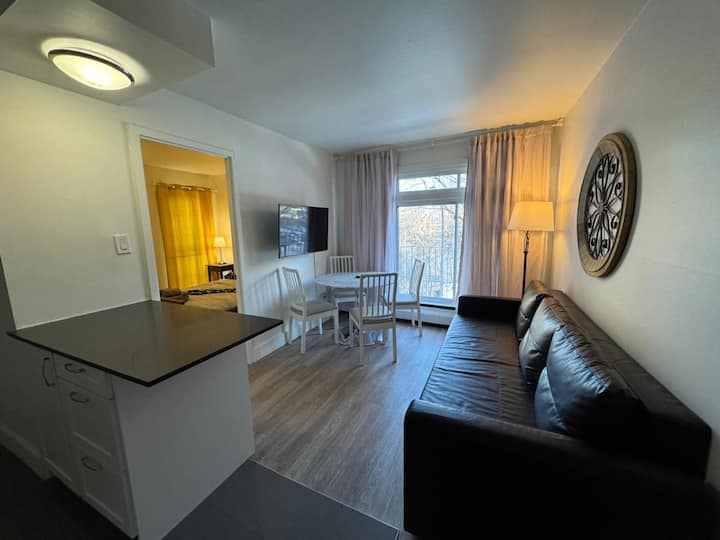 1br In Prime Spot Downtown Montreal Plateau - Montreal