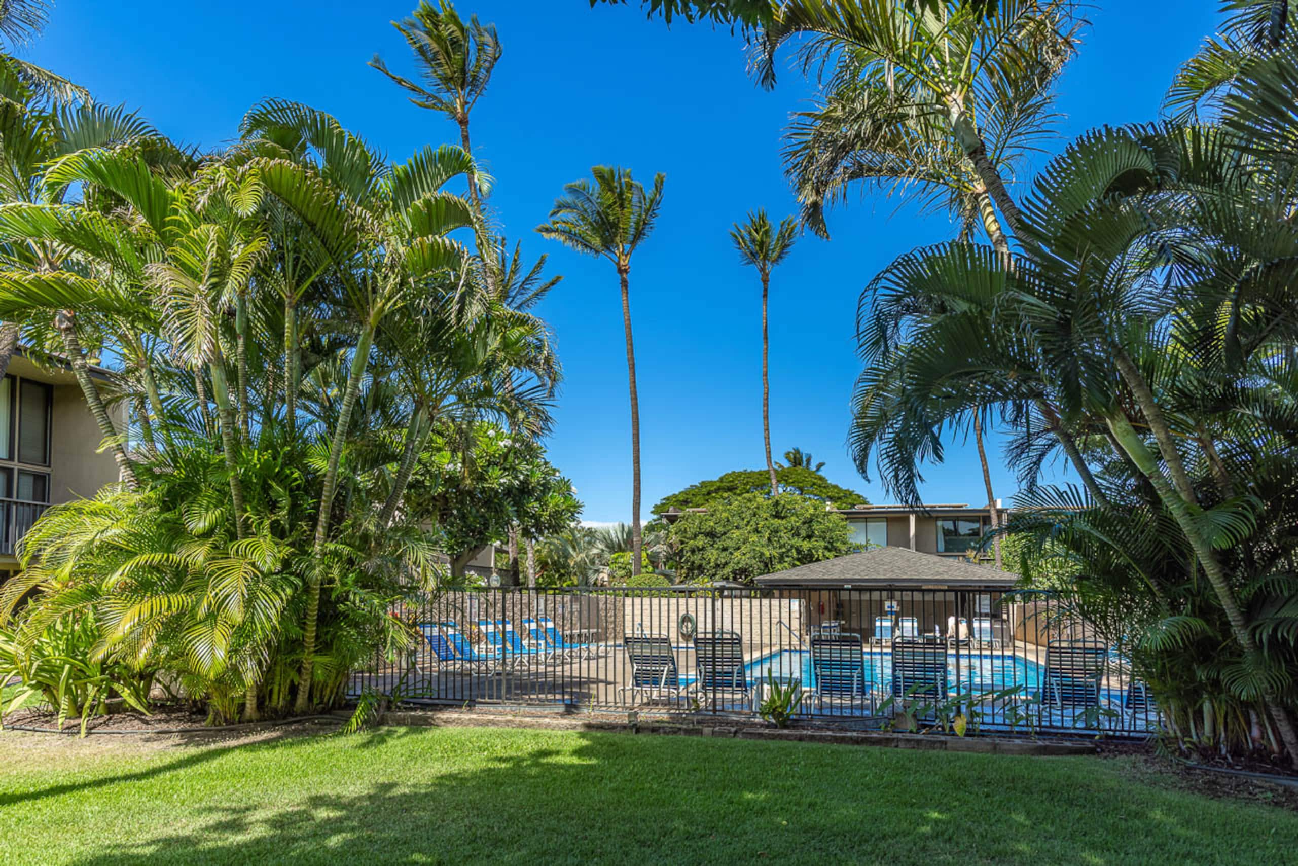 Condo in Kihei · ★4.86 · 2 bedrooms · 3 beds · 2 baths - Image 41