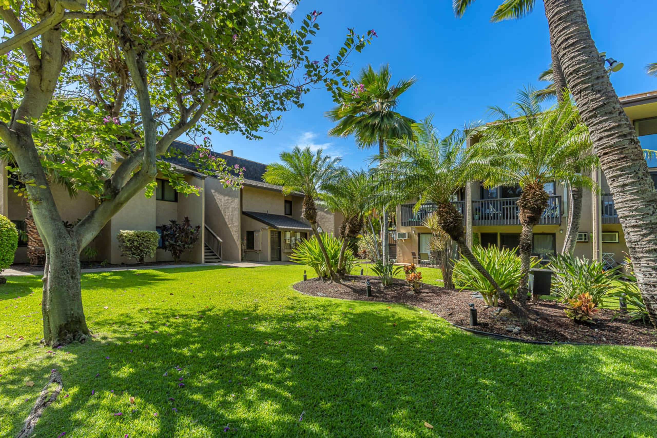 Condo in Kihei · ★4.86 · 2 bedrooms · 3 beds · 2 baths - Image 48