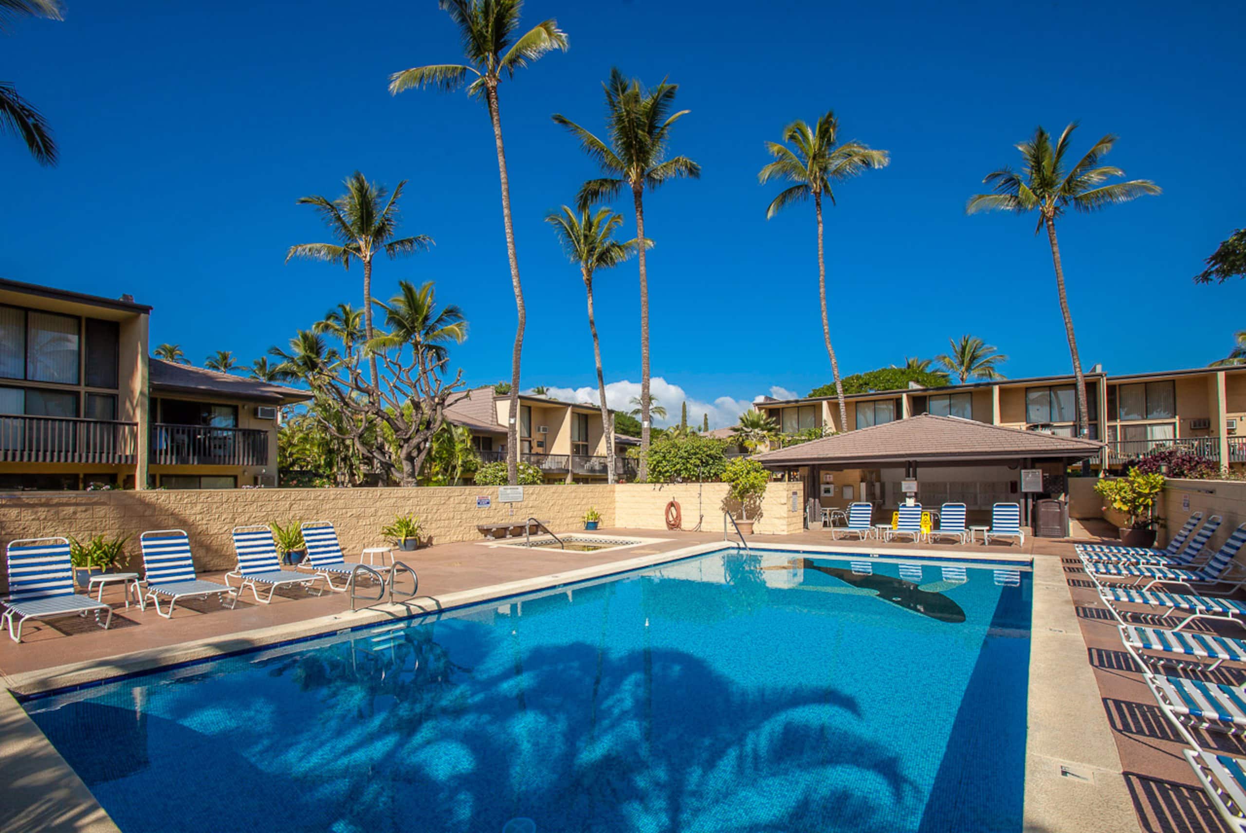 Condo in Kihei · ★4.86 · 2 bedrooms · 3 beds · 2 baths - Image 44