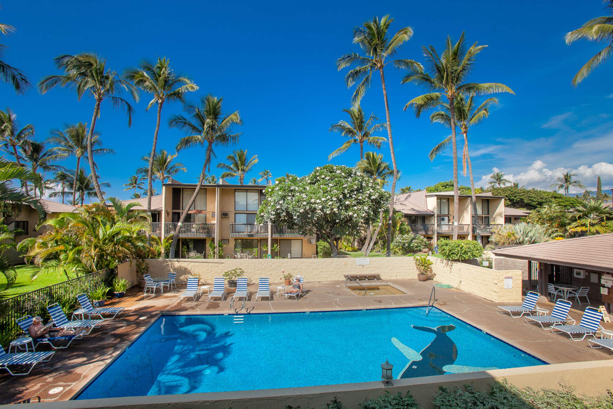 Condo in Kihei · ★4.86 · 2 bedrooms · 3 beds · 2 baths - Image 35