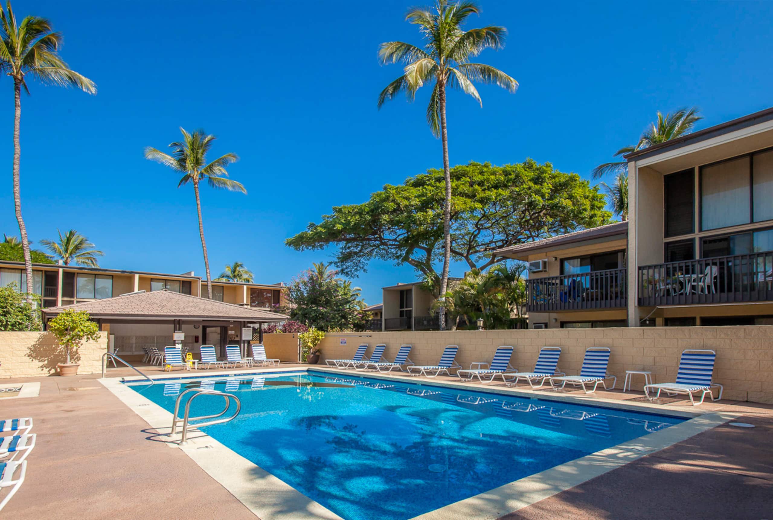 Condo in Kihei · ★4.86 · 2 bedrooms · 3 beds · 2 baths - Image 43