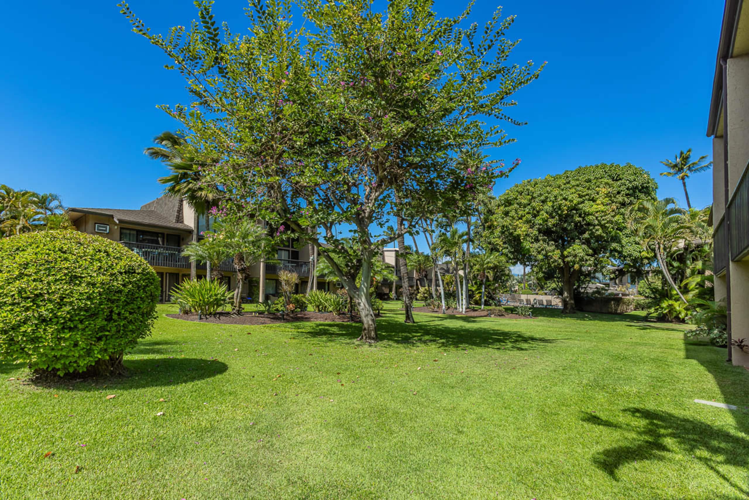 Condo in Kihei · ★4.86 · 2 bedrooms · 3 beds · 2 baths - Image 47
