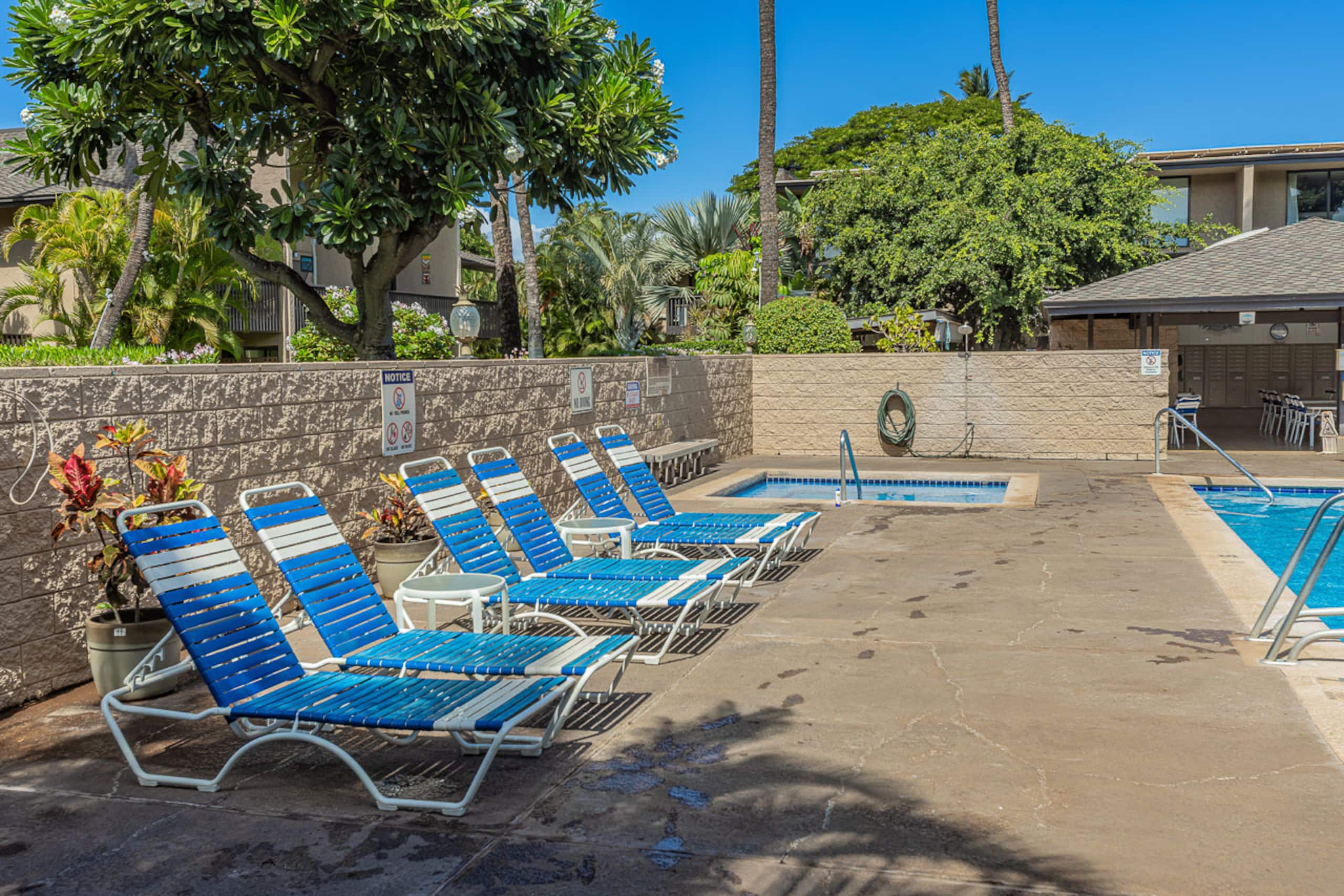 Condo in Kihei · ★4.86 · 2 bedrooms · 3 beds · 2 baths - Image 42