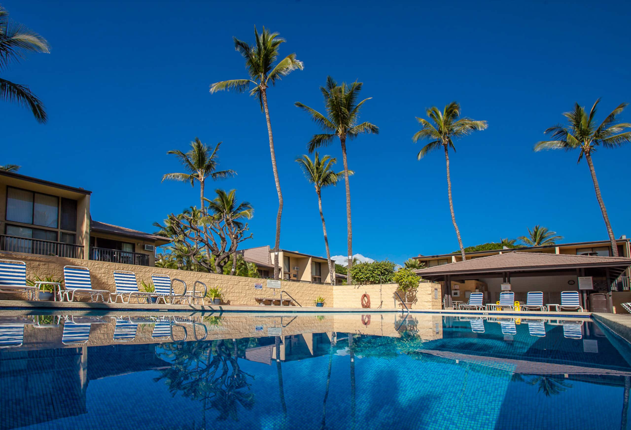Condo in Kihei · ★4.86 · 2 bedrooms · 3 beds · 2 baths - Image 40