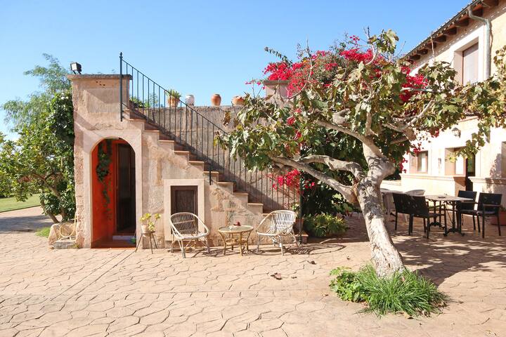 S’hort des Cura gallery image 3