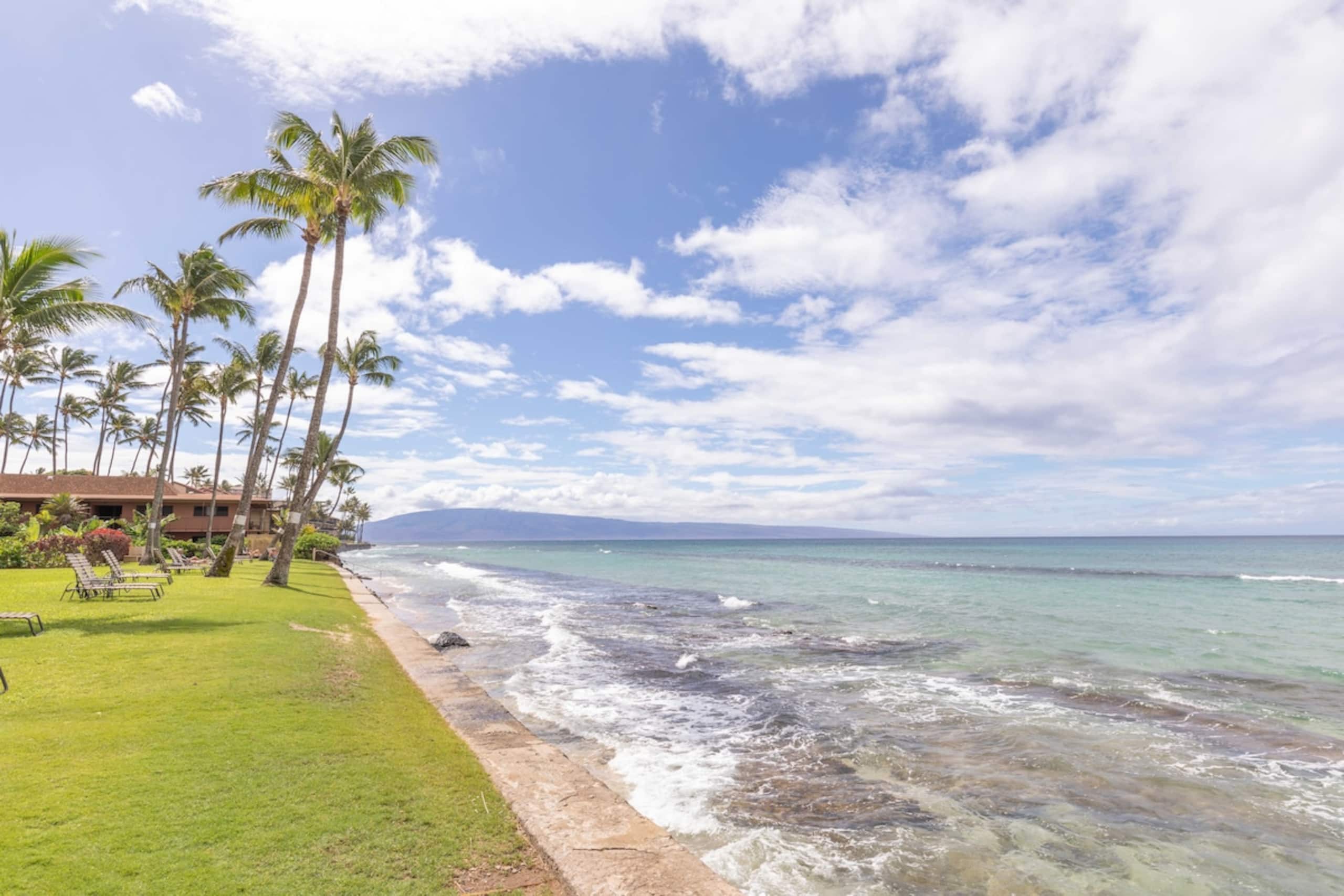 Condo in Lahaina · ★4.89 · 2 bedrooms · 3 beds · 2 baths - Image 58