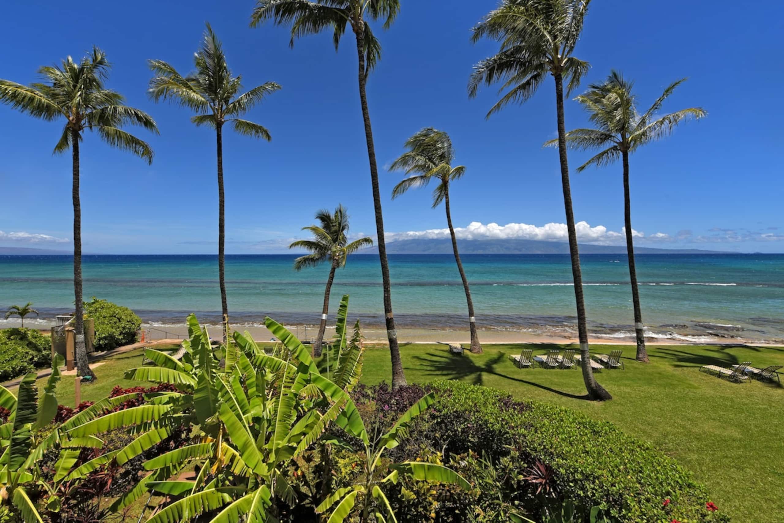 Condo in Lahaina · ★4.89 · 2 bedrooms · 3 beds · 2 baths - Image 57