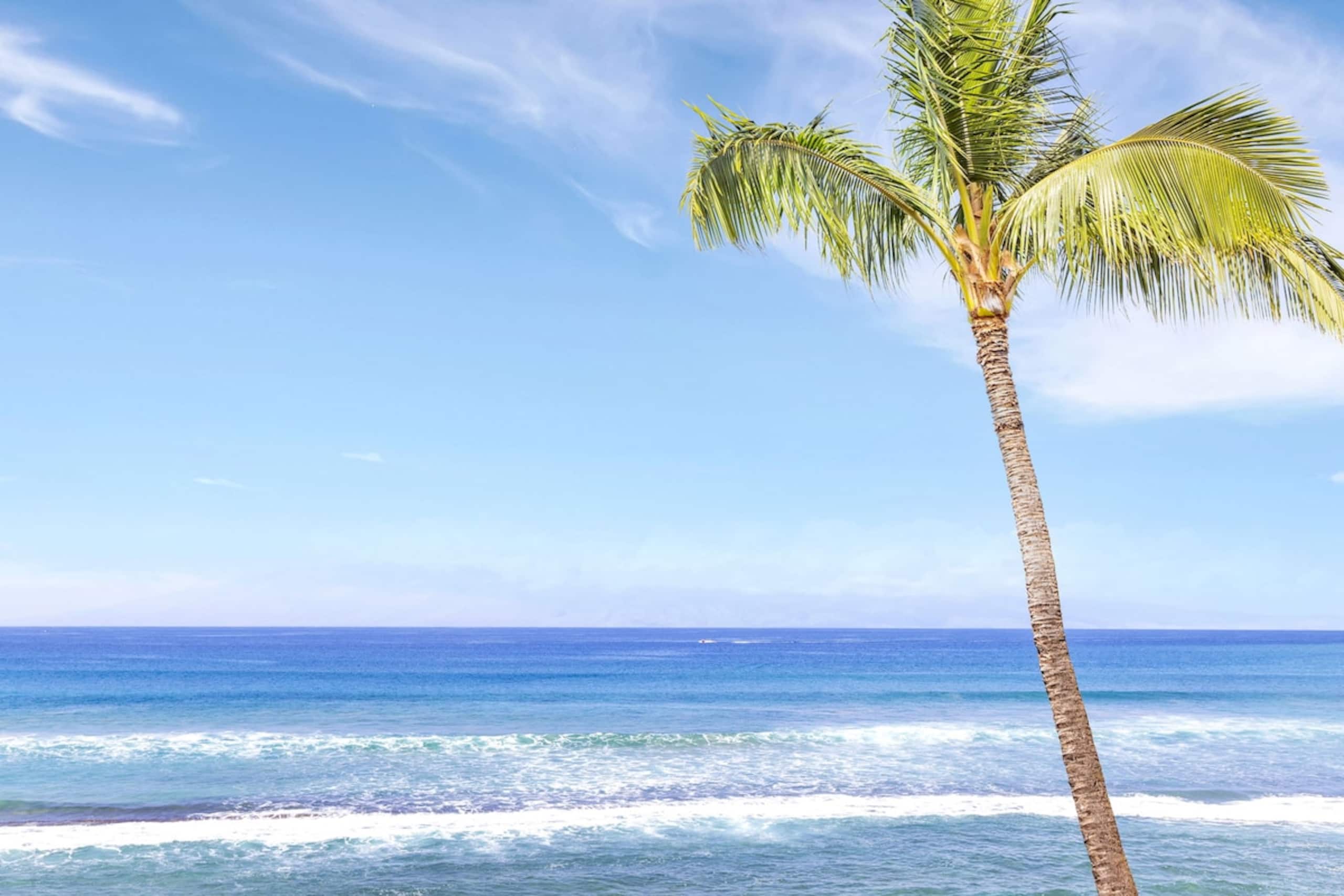 Condo in Lahaina · ★4.89 · 2 bedrooms · 3 beds · 2 baths - Image 44