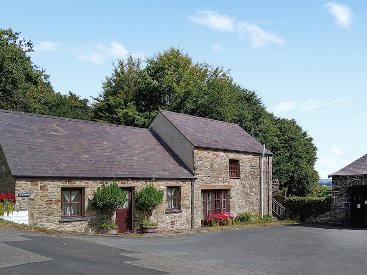 Y Cartws - Lampeter