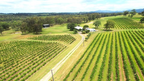 'Vineyard Escape Farm Stay'