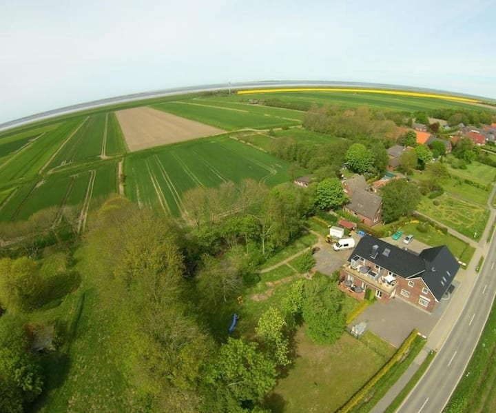 Ferienwohnung Beagle (271743) - Baltrum