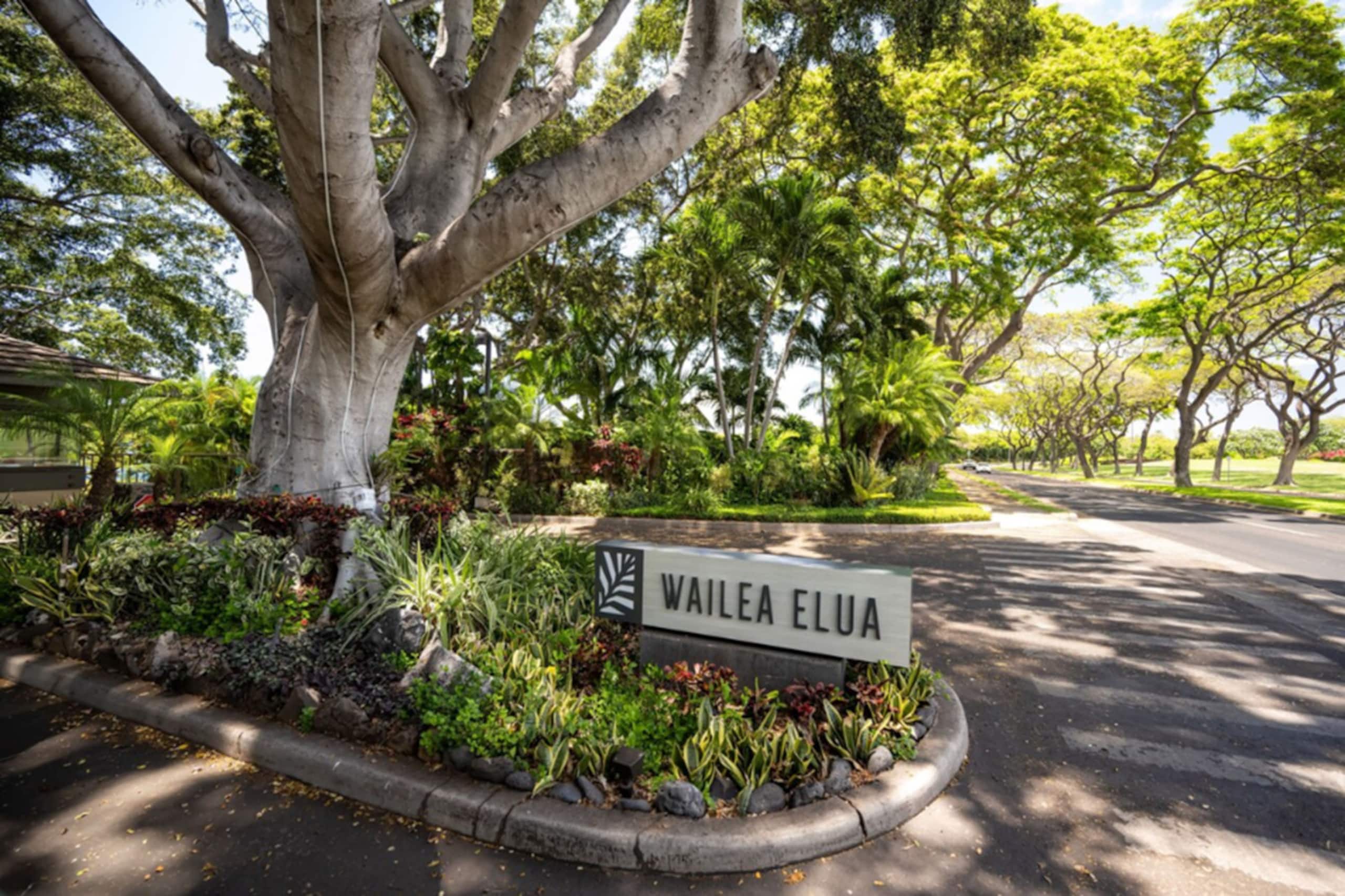 Wailea Elua Resort 1904: Front of the Front Row - Image 24