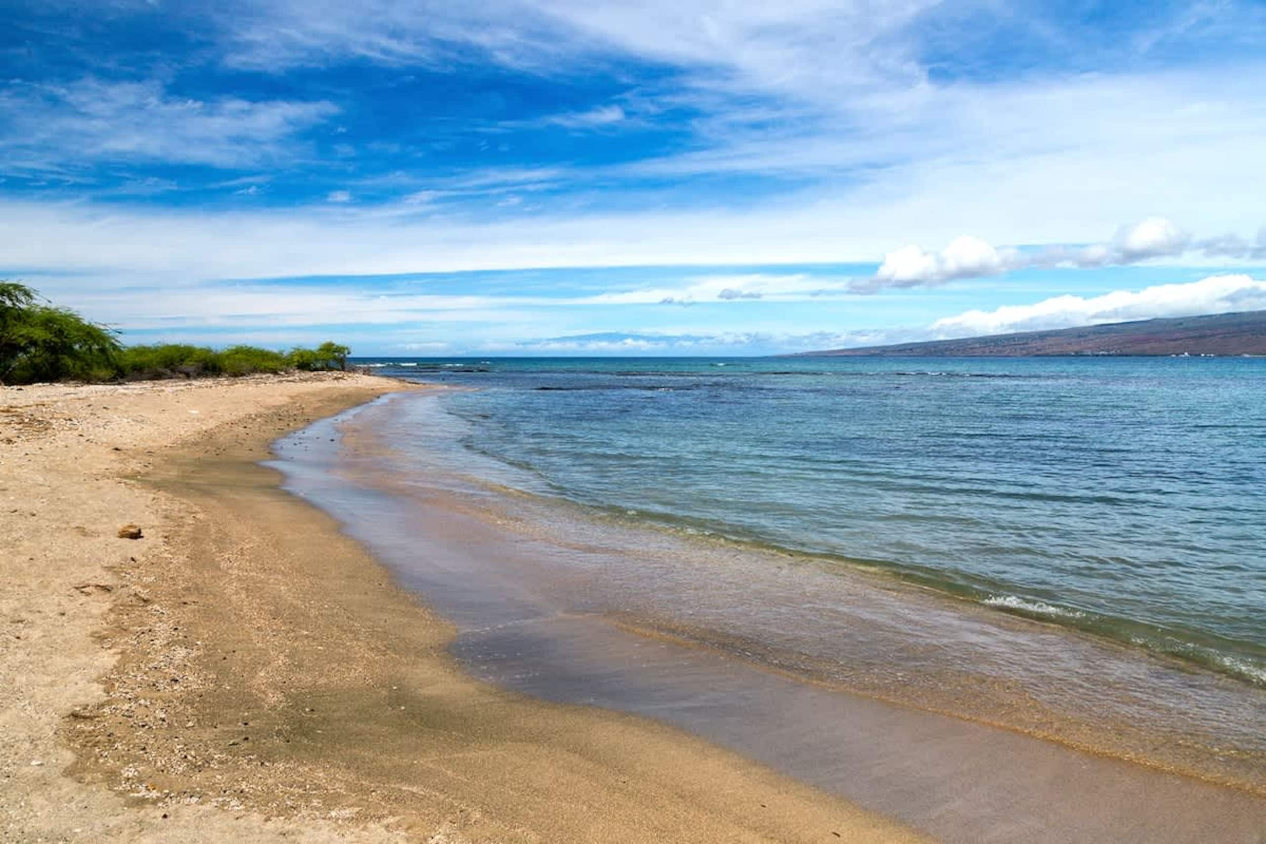 Condo in Waimea · ★4.73 · 3 bedrooms · 4 beds · 2 baths - Image 25