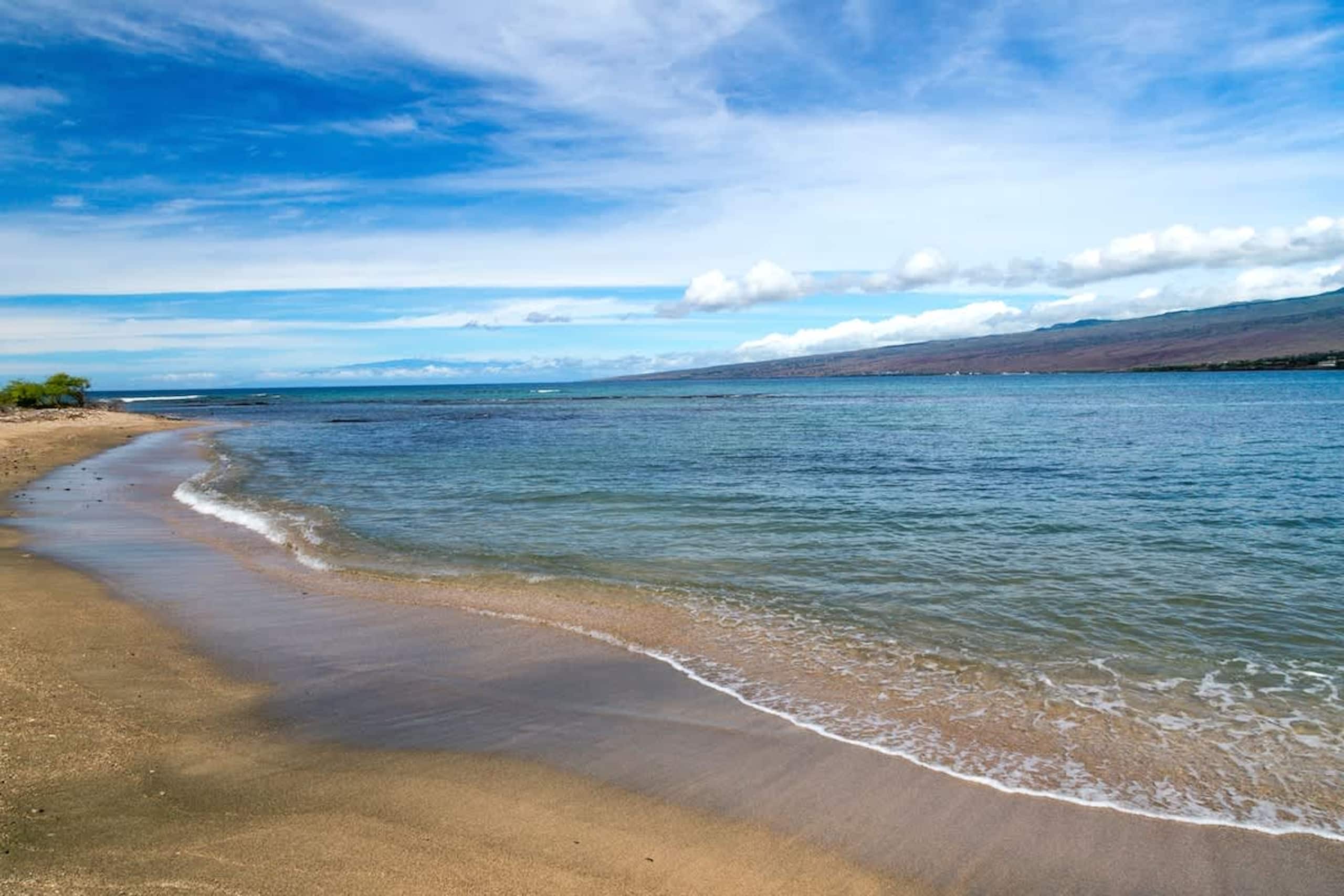 Condo in Waimea · ★4.73 · 3 bedrooms · 4 beds · 2 baths - Image 24