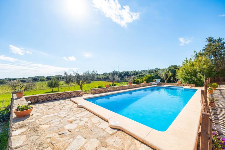 Can Pascual Gran gallery image 5