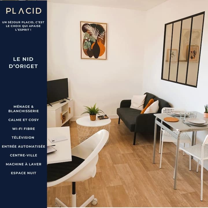 Le Nid D'origet- Cosy - Centre - Wifi - Tv - Tours
