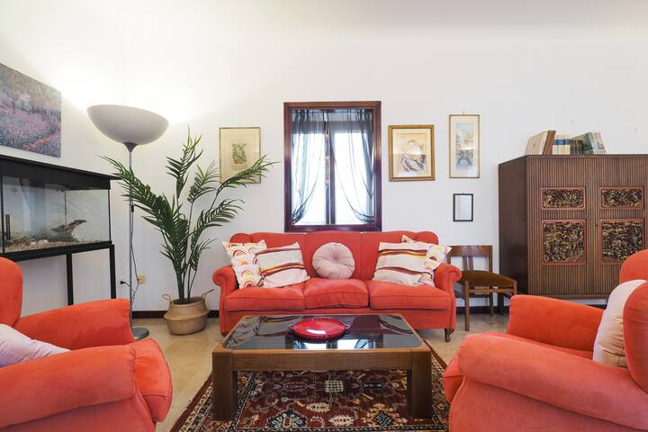 PrimoPiano – Napo Torriani C gallery image 3