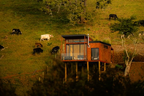 Tekoá Cabin - Glass ceiling and movie screen