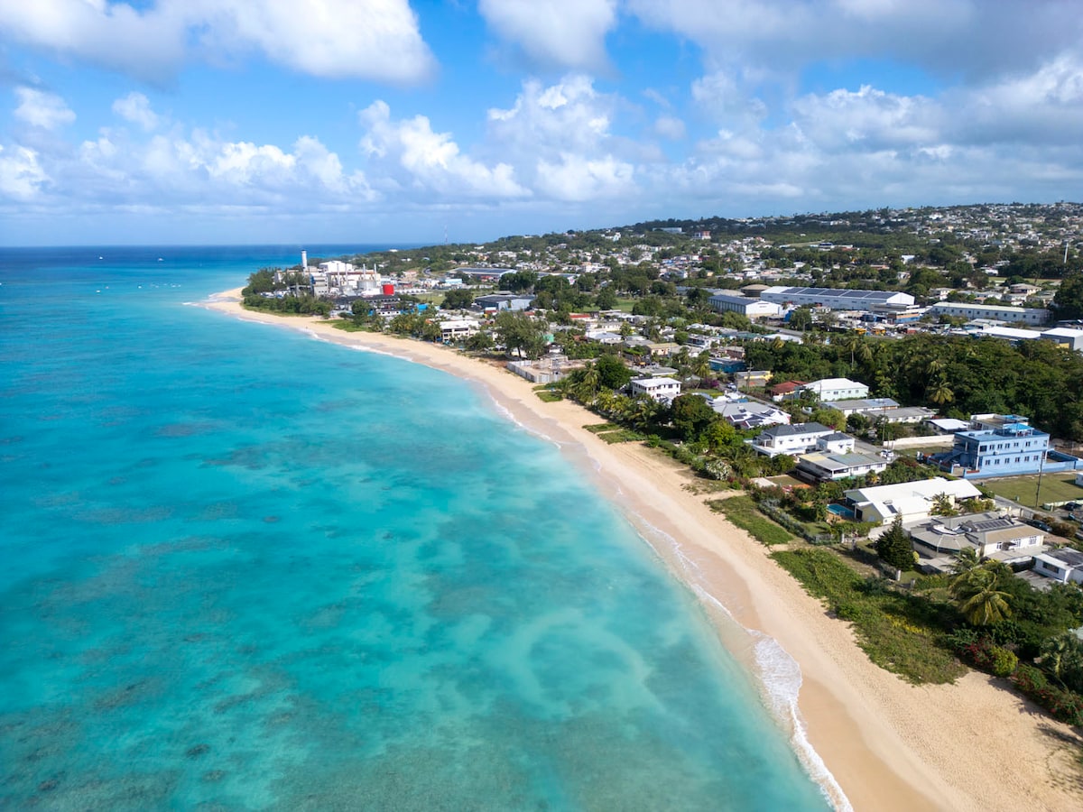 An aerial view captures the serene coastline of Brighton Beach, showcasing clear turquoise waters gently lapping against soft sandy shores. Coastal buildings and lush greenery are visible along the shoreline, creating a harmonious blend of nature and community.