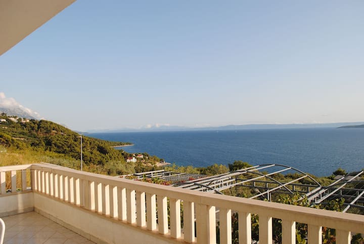 Appartement Marko (10272-a1) - Brela