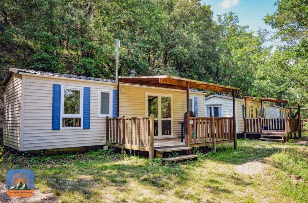 Four well-maintained cabins are situated amidst lush greenery. Each cabin features a front porch with wooden railings, inviting outdoor seating, and large windows framed in blue shutters. The surrounding area offers a natural and serene setting, enhancing the outdoor experience.