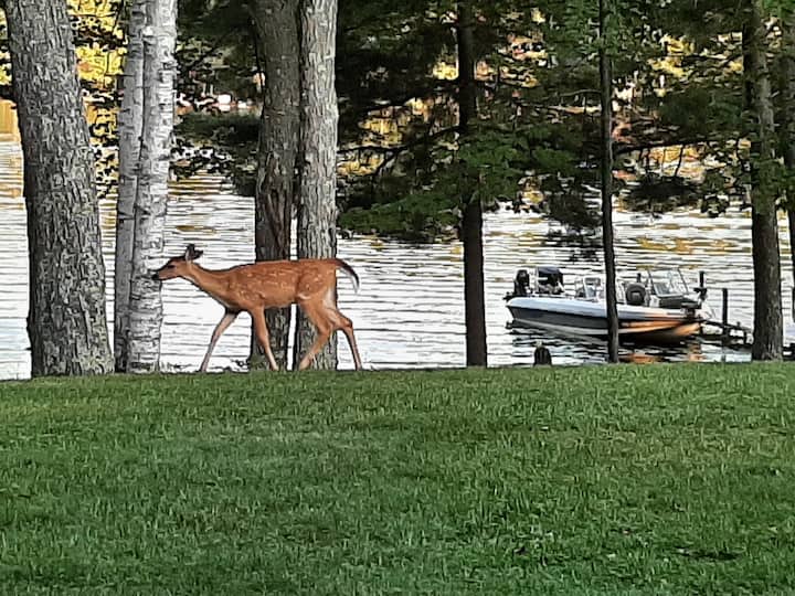 Eagle River Condo Private Dock, Sandy Beach - Eagle River, WI