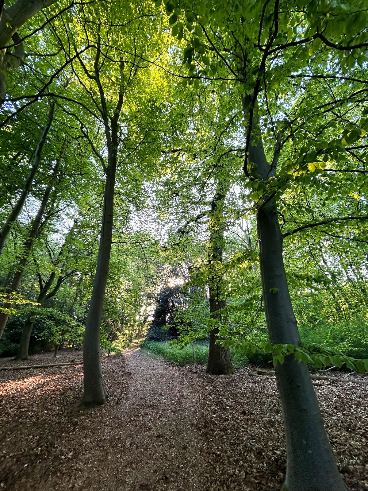 Wychwood Lodge