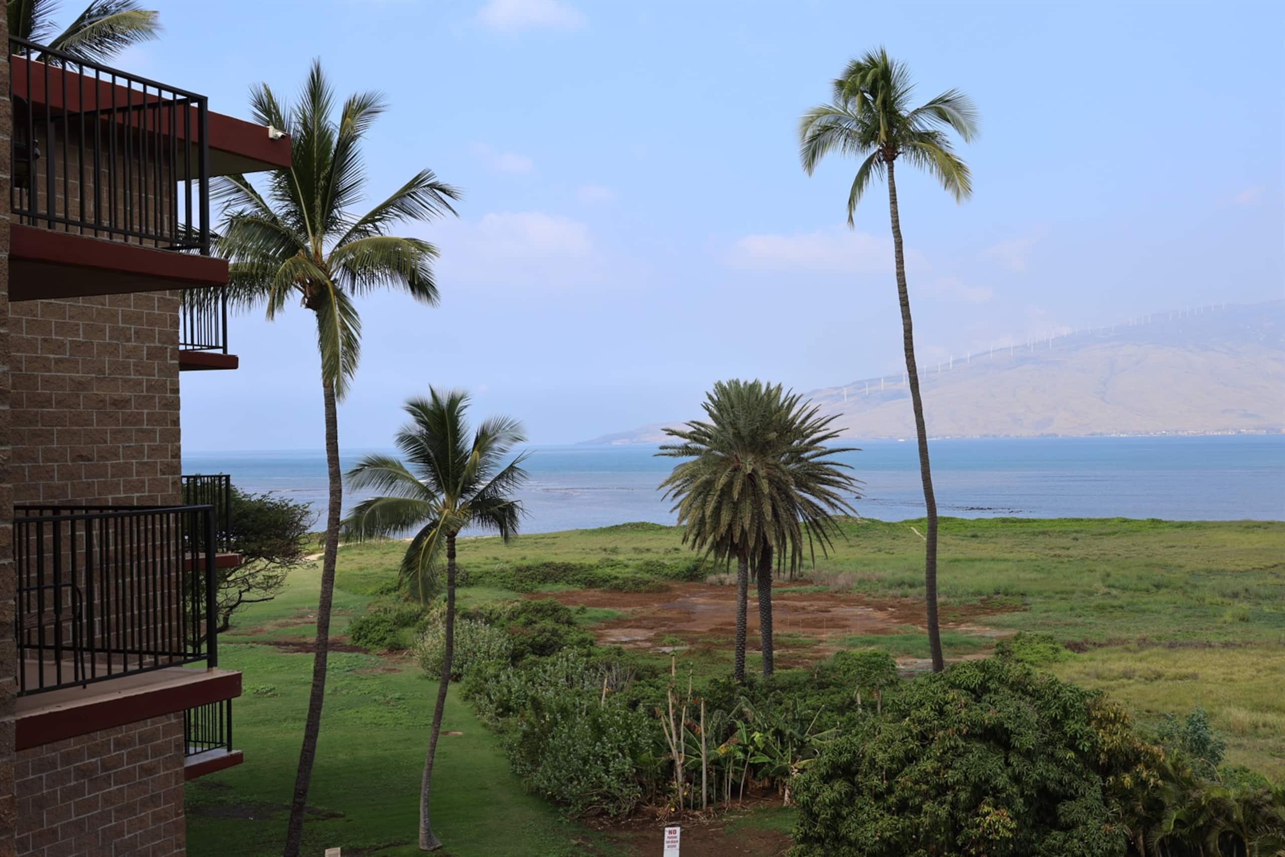 Condo in Kihei · ★4.75 · 1 bedroom · 2 beds · 1 bath - Image 14