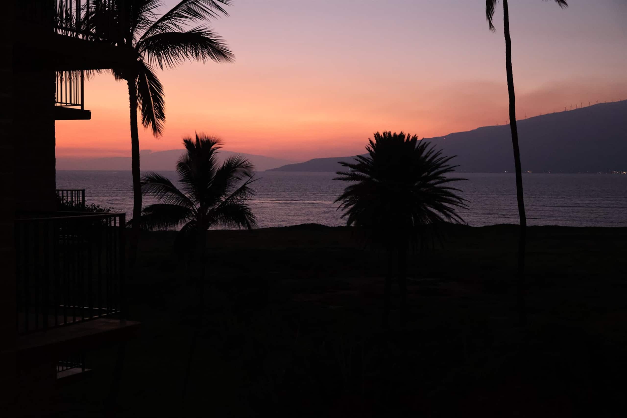 Condo in Kihei · ★4.75 · 1 bedroom · 2 beds · 1 bath - Image 25