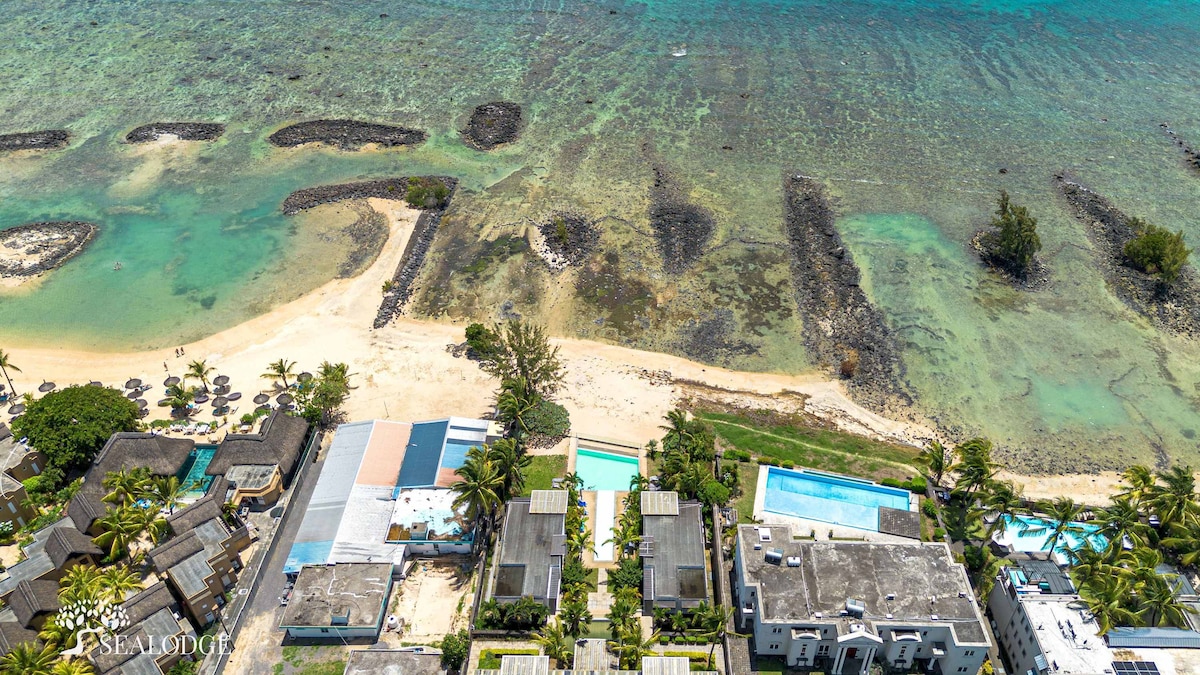 An aerial view showcases a tranquil coastline next to a clear lagoon. The sandy beach curves alongside rocky formations, while lush palm trees are interspersed among nearby residences. Two swimming pools are visible, reflecting the sunlight amidst the serene setting.