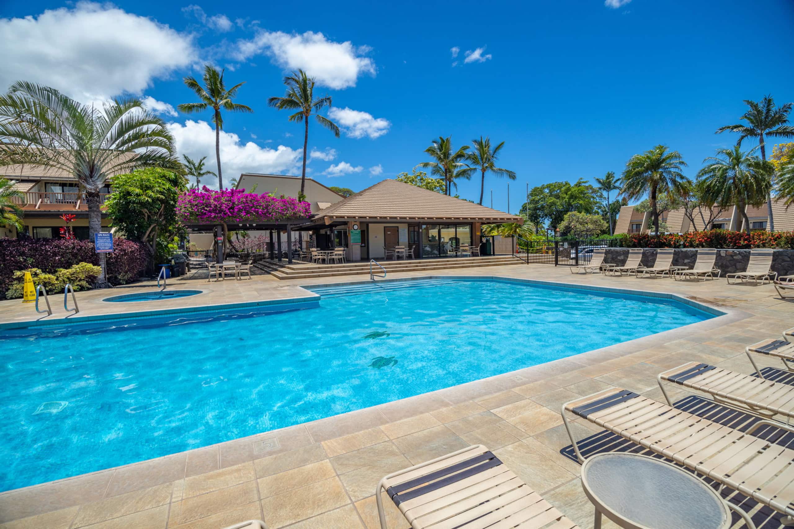 Condo in Kihei · ★4.88 · 2 bedrooms · 3 beds · 2 shared baths - Image 47