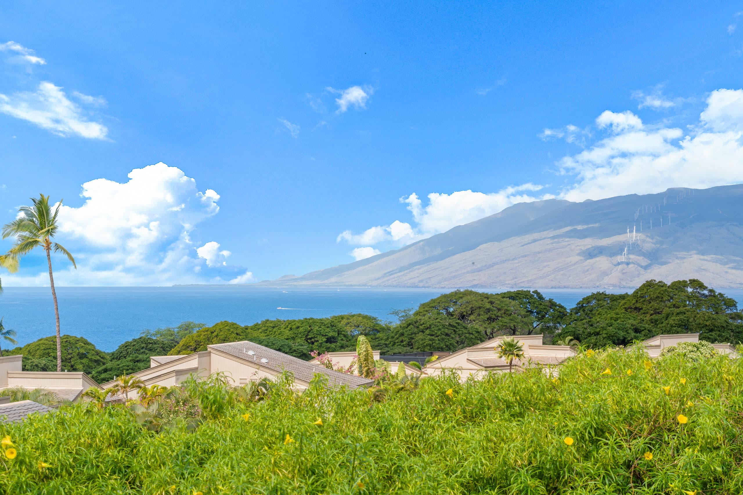 Condo in Kihei · ★5.0 · 2 bedrooms · 4 beds · 2 baths - Image 51