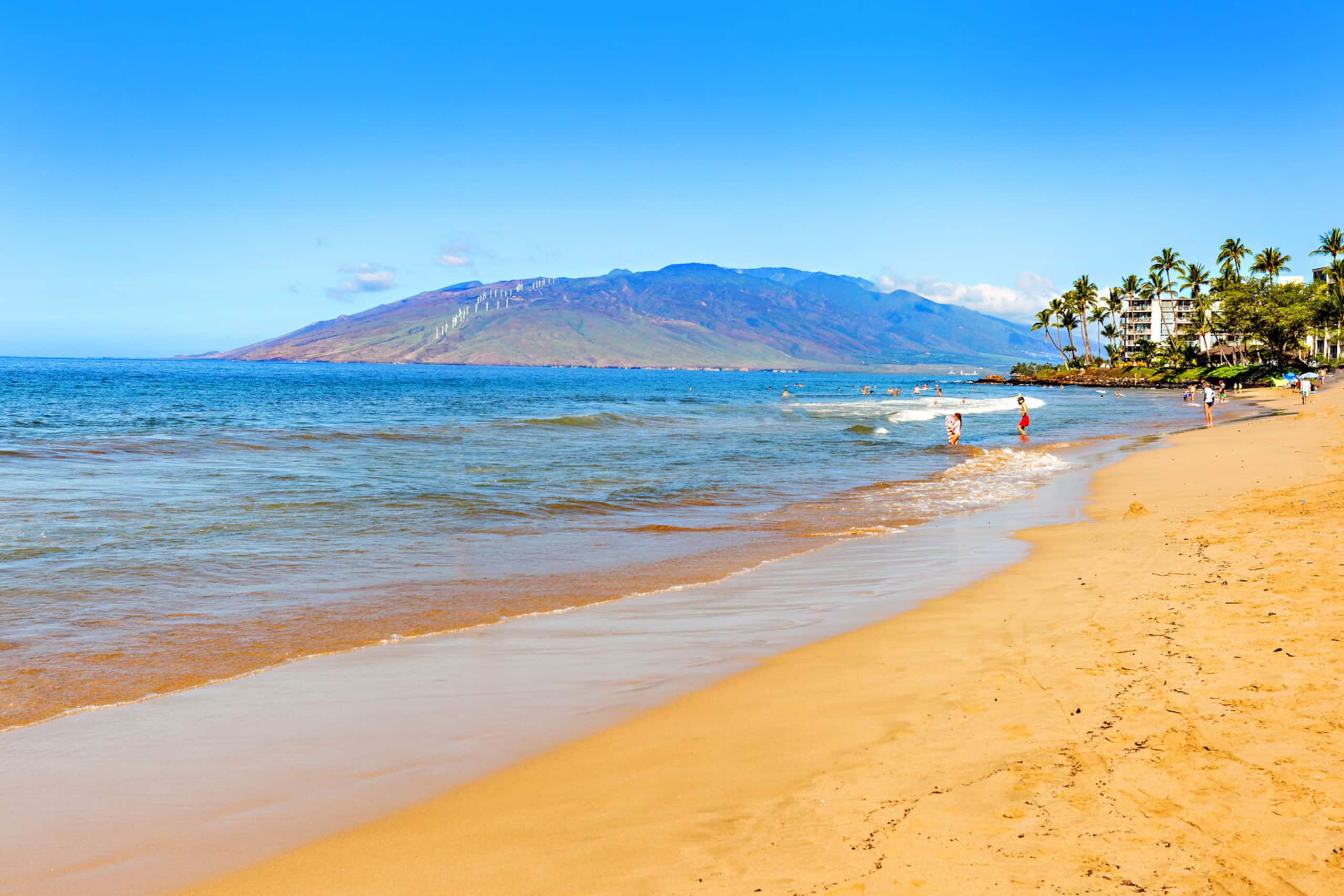Condo in Kihei · ★4.81 · 1 bedroom · 2 beds · 1 private bath - Image 38